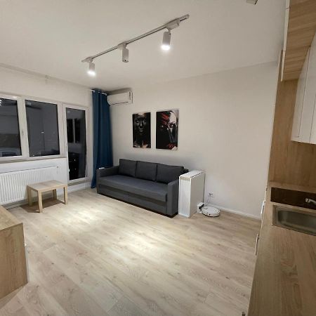 Treasure Luxury Apartment Palace Бухарест Екстер'єр фото